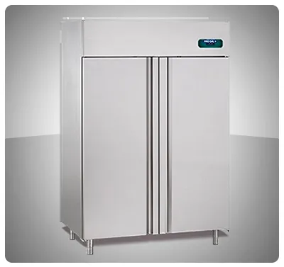 Nevera De Congelación Industrial De Acero Inoxidable 2 Puertas 1300L 201X48X83Cm 110V Friogal 